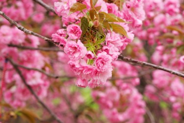 上海黄浦区1线下个人借款平台一站式服务，轻松解决资金难题